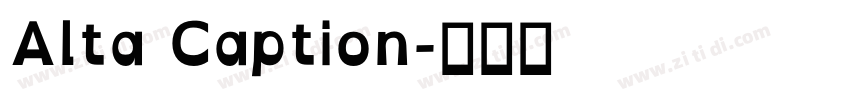 Alta Caption字体转换